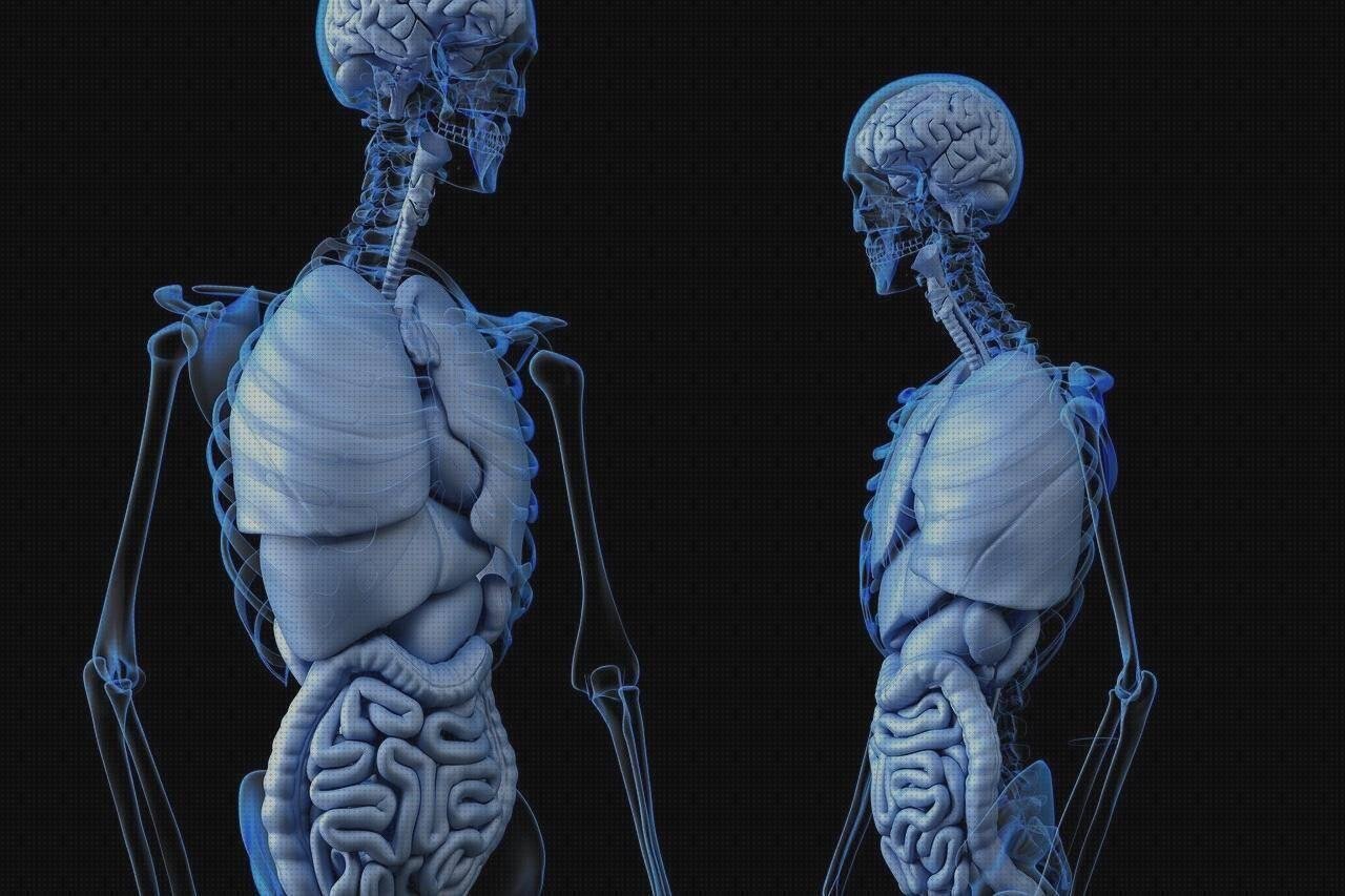 Las mejores marcas de Más sobre colmenas de plástico Más sobre cama de silicona Más sobre caja plástico infantiles abdominales silicona