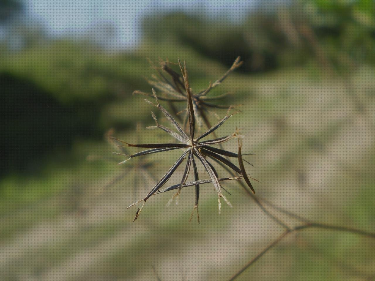 Las mejores marcas de resbaladilla de plástico frasquitos de plástico con tapa frasquitos plástico 20 abrojo de plástico
