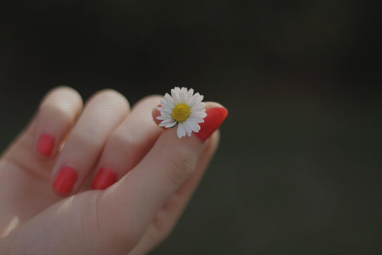 Review de acrilatos y metacrilato uñas