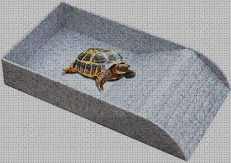 Los mejores 10 Acuarios Con Platos De Plásticos