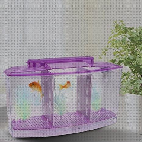 Las mejores acuario plástico bol de silicona mini mat capacidad mini mesa de plástico acuario division con vidrio plástico