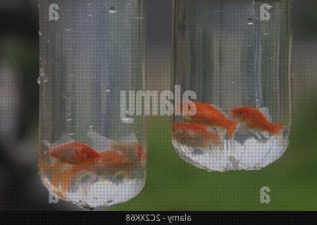 Las mejores marcas de acuario plástico bol de silicona mini mat capacidad mini mesa de plástico acuario lleno de plástico