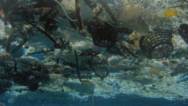 Opiniones de los 13 mejores Acuarios Llenos De Plásticos