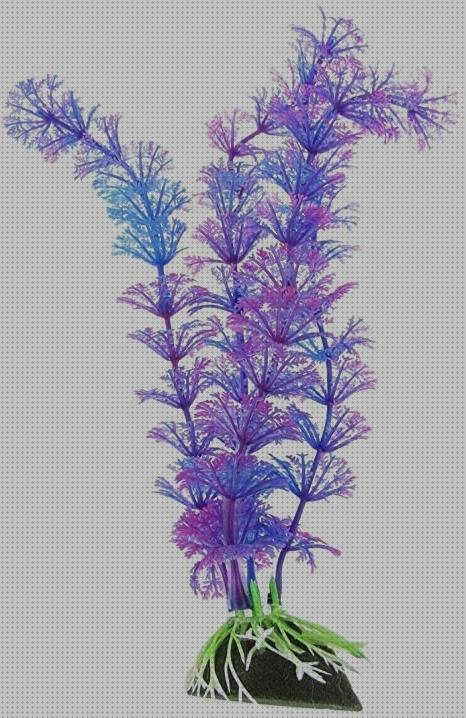 Las mejores visera plástico colores acuarion con burbujas y colores plástico