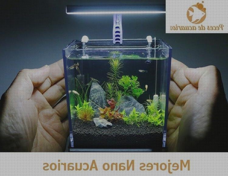 Análisis de los 21 mejores Acuarion Con Burbujas Y Colores De Plásticos