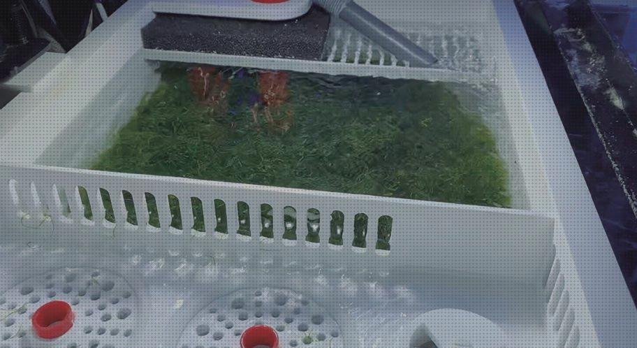 Las mejores marcas de acuario plástico bol de silicona mini mat capacidad mini mesa de plástico acuarios marinos con sump de plástico