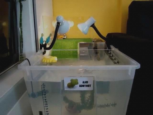 ¿Dónde poder comprar caja de plástico 46x60x88 correillas de plástico telhas de plástico acuaterrario caja de plástico?