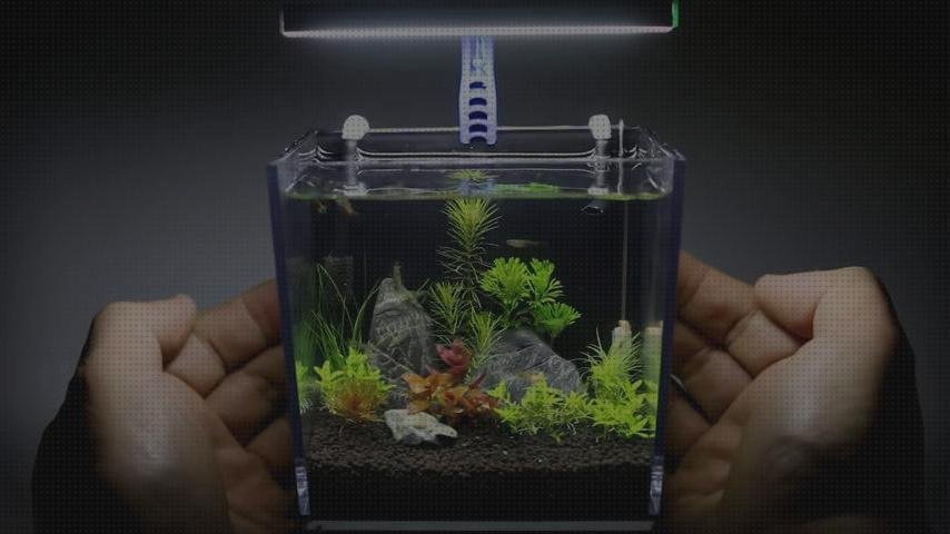 Las mejores caja de plástico 46x60x88 correillas de plástico telhas de plástico acuaterrario caja de plástico