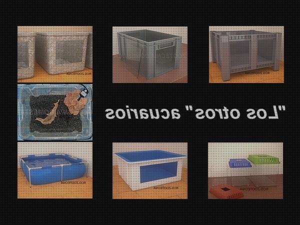 Review de acuaterrario caja de plástico