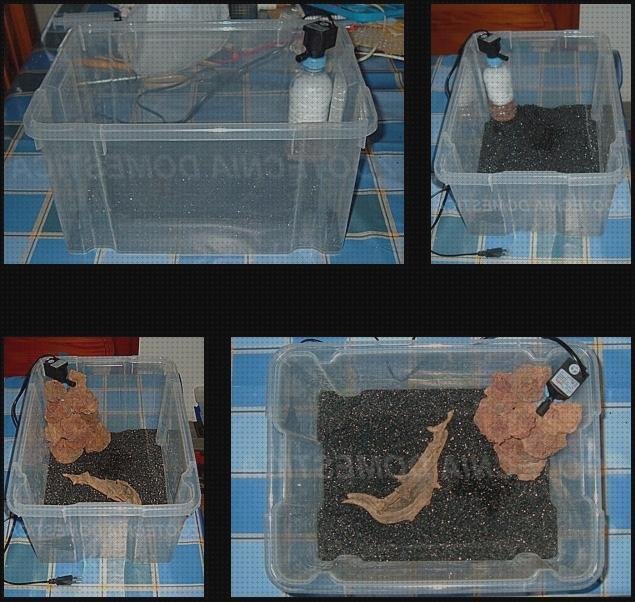 Opiniones de los 17 mejores Acuaterrario Cajas De Plásticos