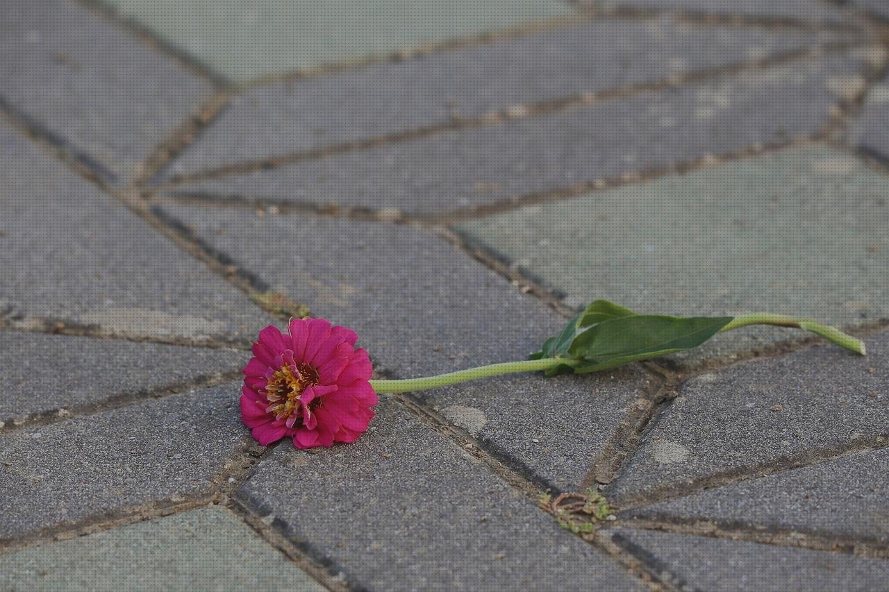 Las mejores thyssenkrupp plasticos plexiglas adherente de plasticos