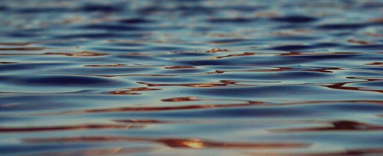 Los 8 Mejores Aguas Voss Garrafas De Plásticos