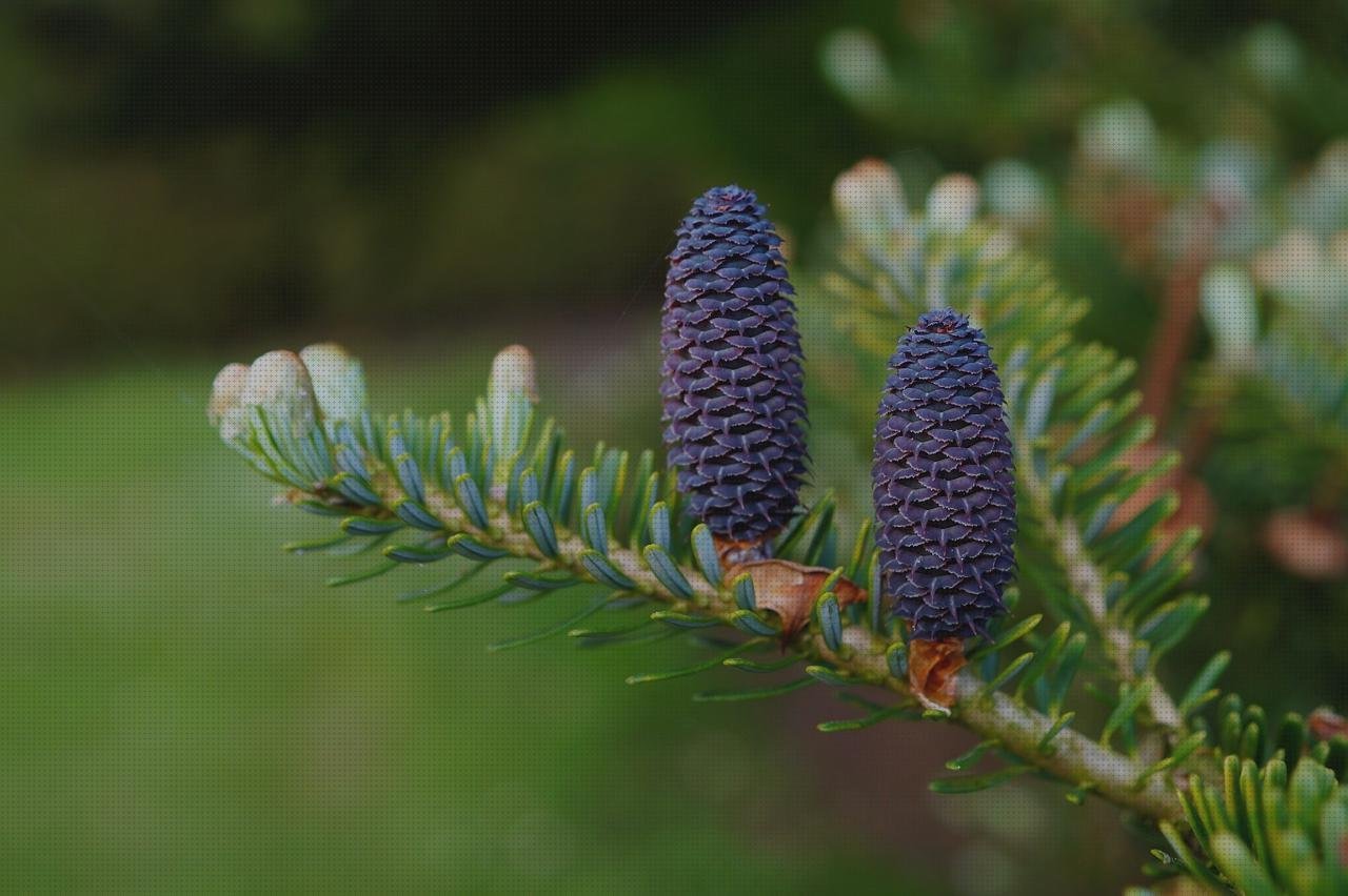 Las mejores marcas de agujas de plástico bol de silicona mini mat capacidad mini mesa de plástico aguja con plástico amarilla