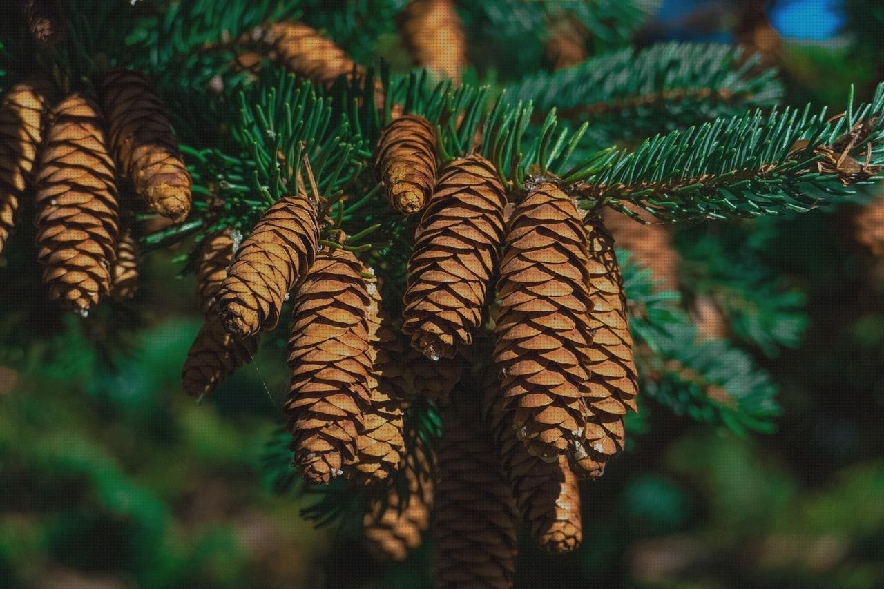 Las mejores agujas de plástico bol de silicona mini mat capacidad mini mesa de plástico aguja con plástico amarilla