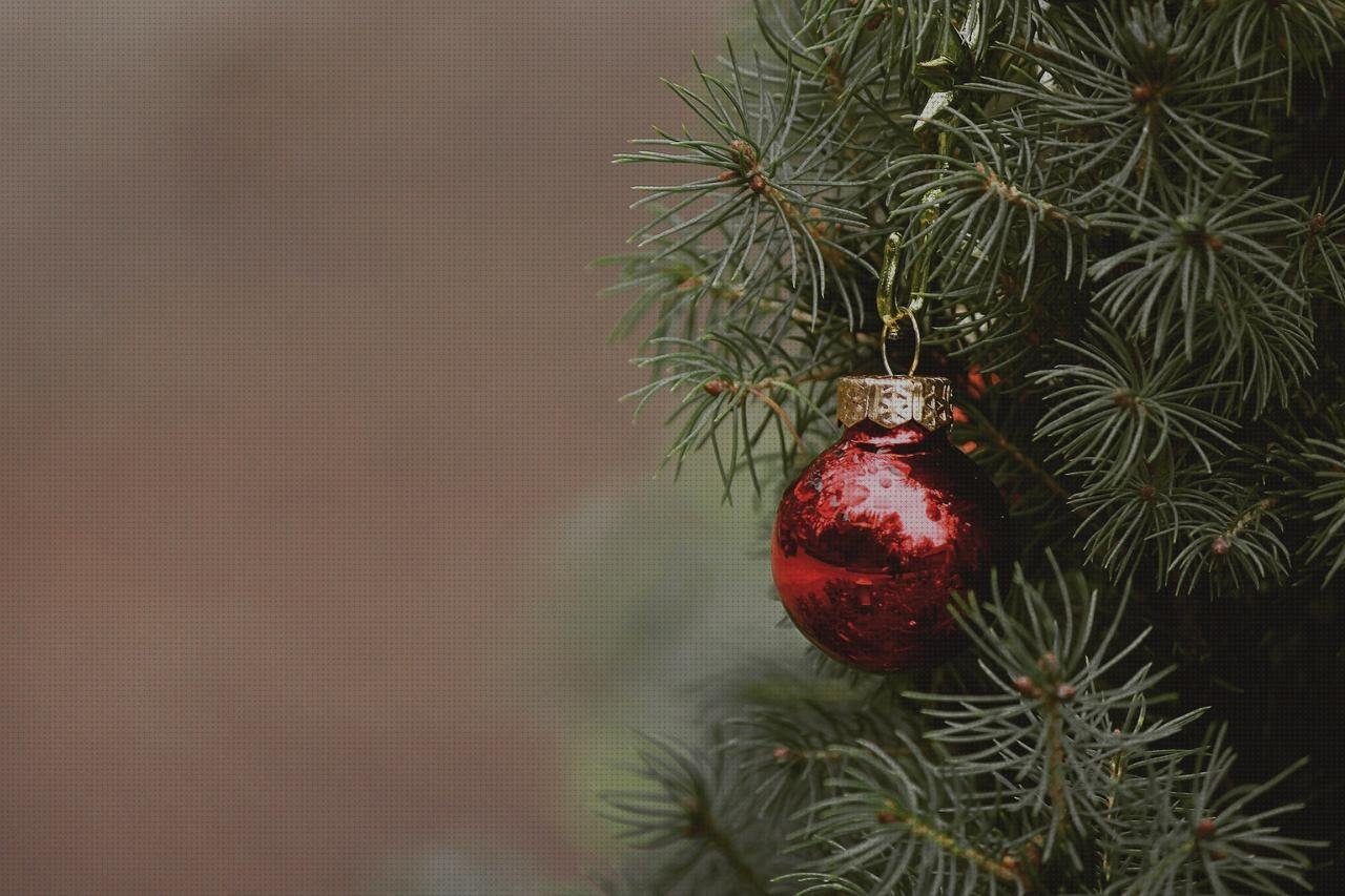 ¿Dónde poder comprar aguja de plástico fachadas ventiladas de policarbonato fachada policarbonato agujas de tejer circulares de plástico 1 20 largo?