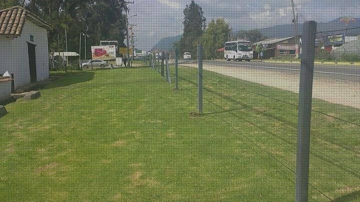 Análisis de los 9 mejores Alambres De Plástico