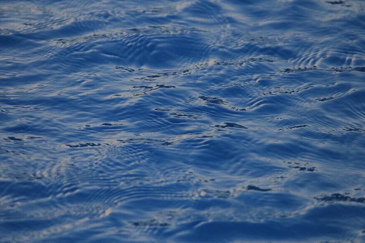 Review de albercas de plástico duro