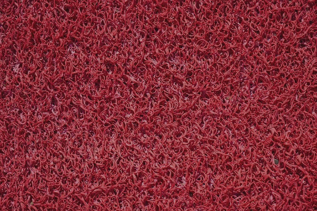 ¿Dónde poder comprar caja plastico niños alfombra de plastico para niños?