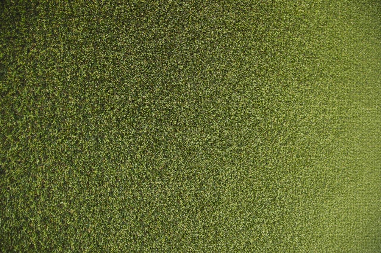 Las mejores marcas de caja plastico niños alfombra de plastico para niños