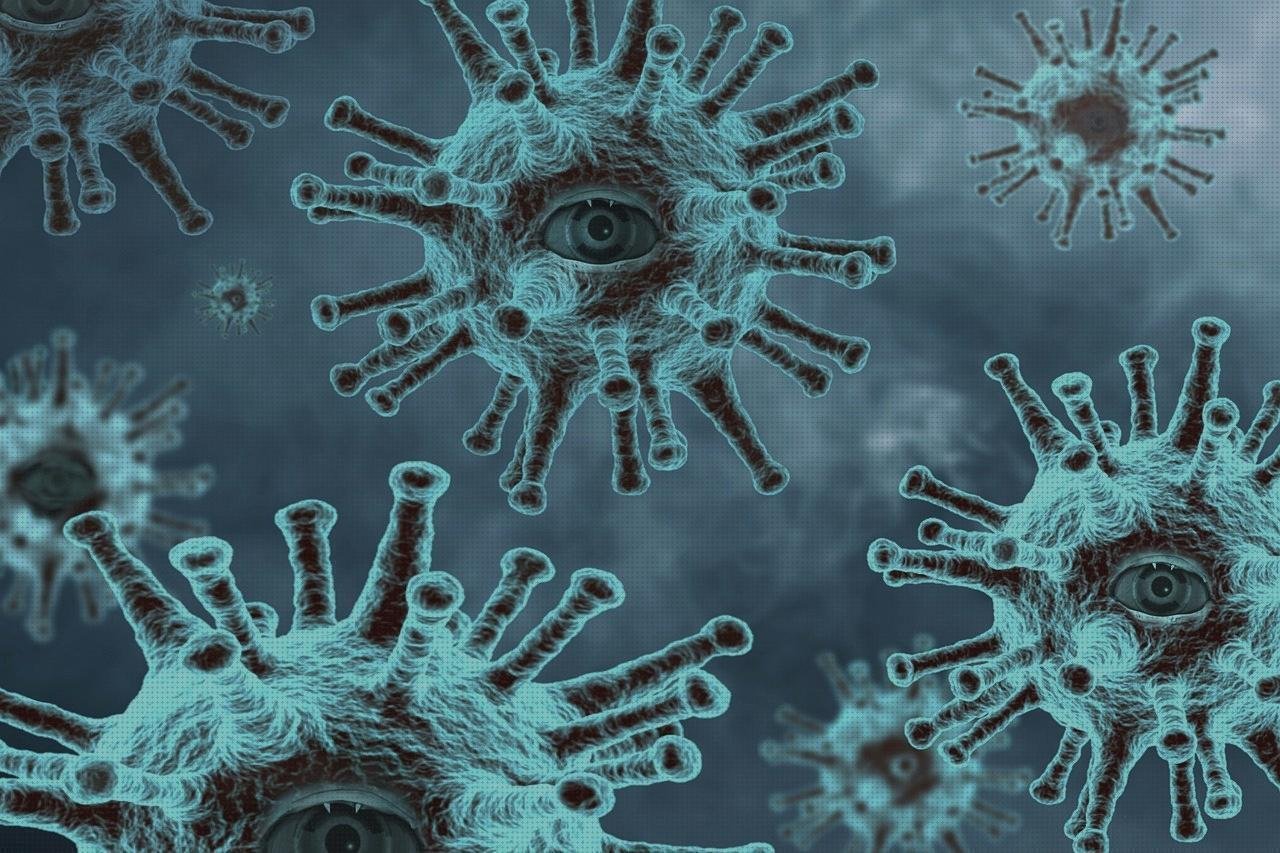 Las mejores marcas de alfombrillas plastico exterior alfombrilla raton policarbonato