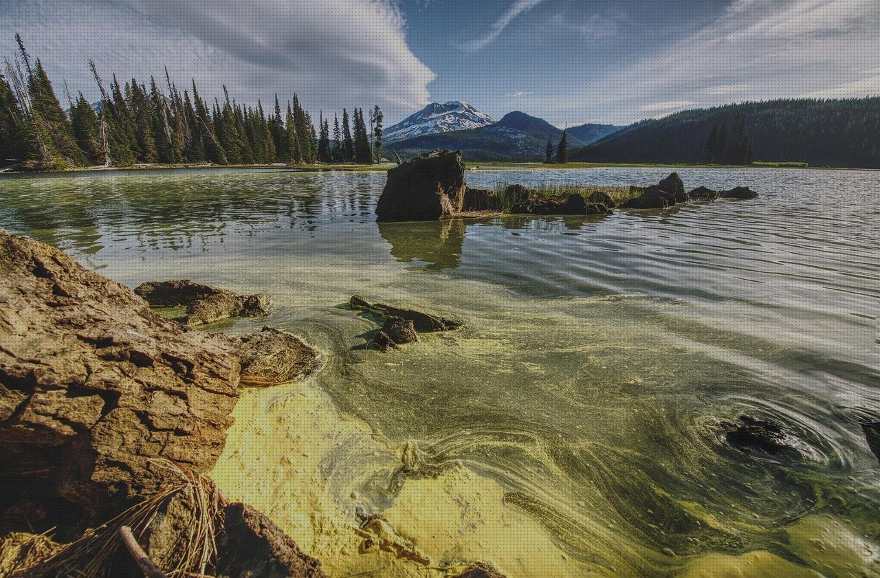 ¿Dónde poder comprar piscinas plástico algas en piscinas de plástico?