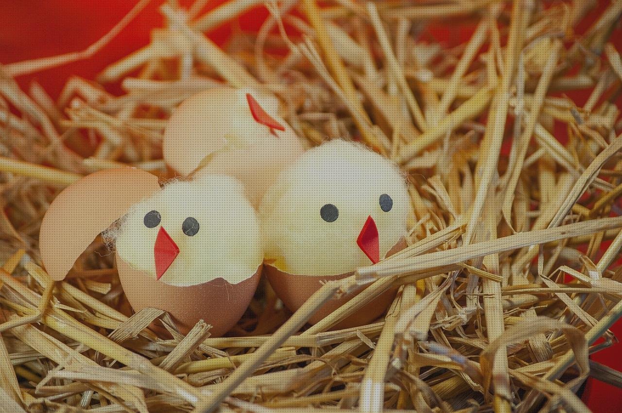 Las mejores marcas de plana de plástico llana de plástico floresde plástico algodon con plástico