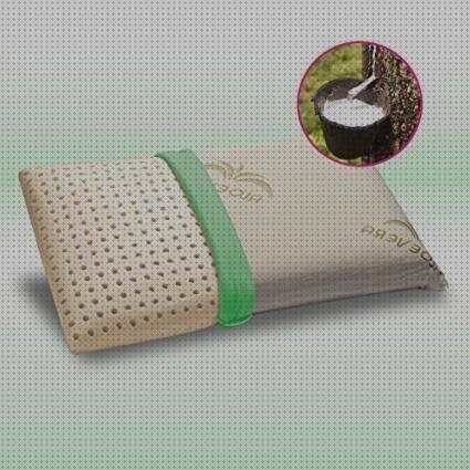 Las mejores marcas de Más sobre colchon de látex 105 Más sobre cinta plástica 3m 2 5cm 12rollos Más sobre aposito hidrocelular con adhesivo de silicona almohadones de látex de 60 por 40 cm