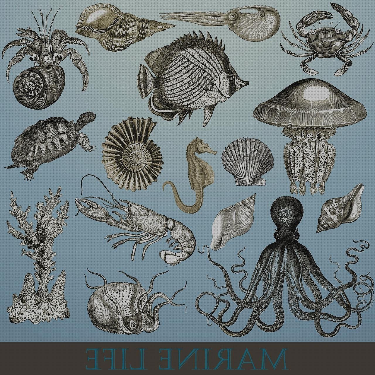 ¿Dónde poder comprar caja de metacrilato 15x15 bezel metacrilato cortal metacrilato amonite interior metacrilato?