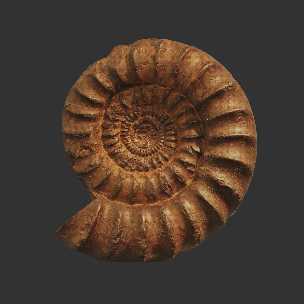 Las mejores caja de metacrilato 15x15 bezel metacrilato cortal metacrilato amonite interior metacrilato