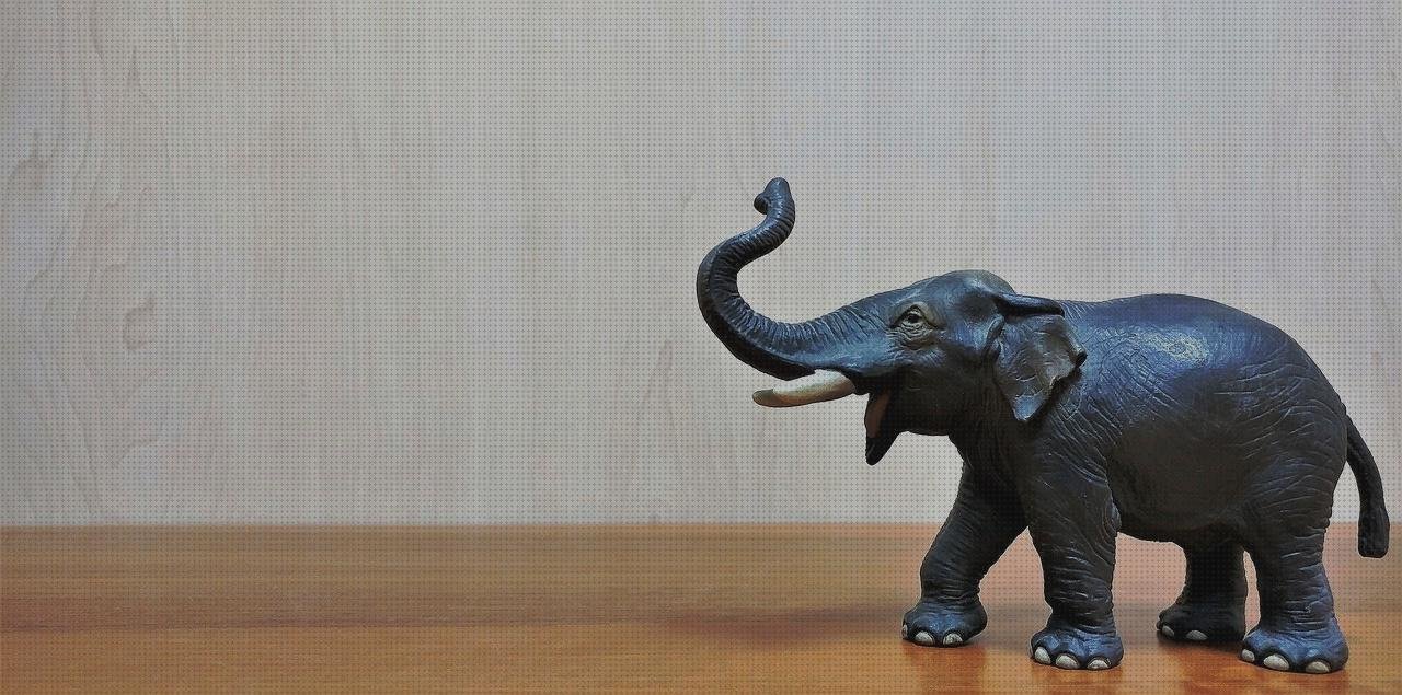 Análisis de los 4 mejores Amuletos Las Suertes De Plásticos
