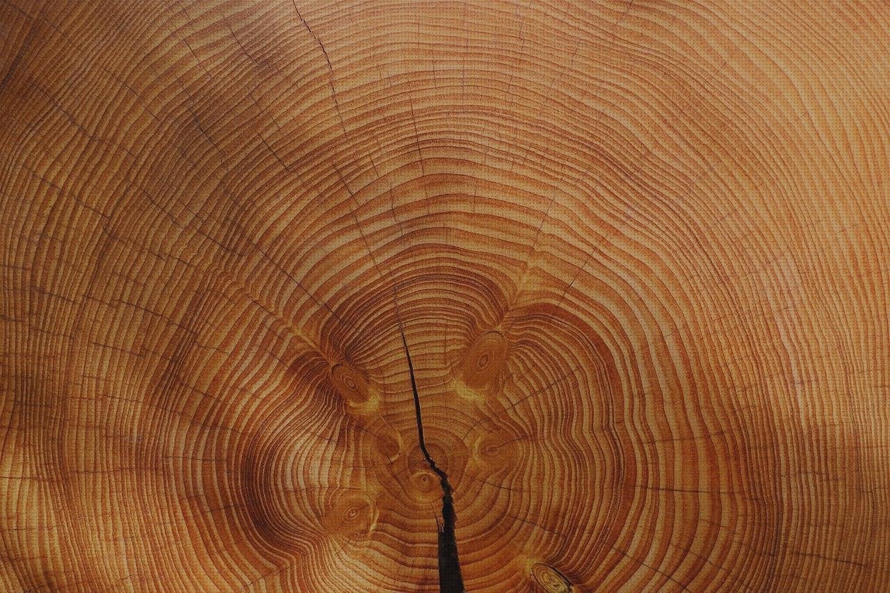 Las mejores Más sobre barra de silicona mac Más sobre bara de silicona Más sobre exprimidor de silicona anillo de silicona vapeador