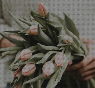 Las mejores marcas de caja plastico niños anillos piratas para niños de plastico