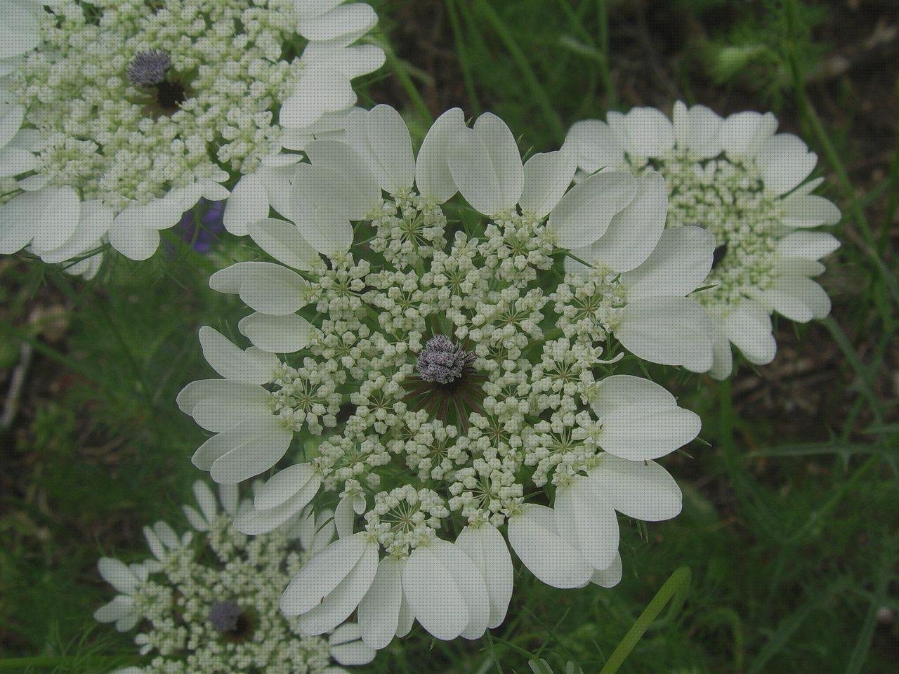 Las mejores marcas de caja de plástico 46x60x88 correillas de plástico telhas de plástico ann bolsa de plástico