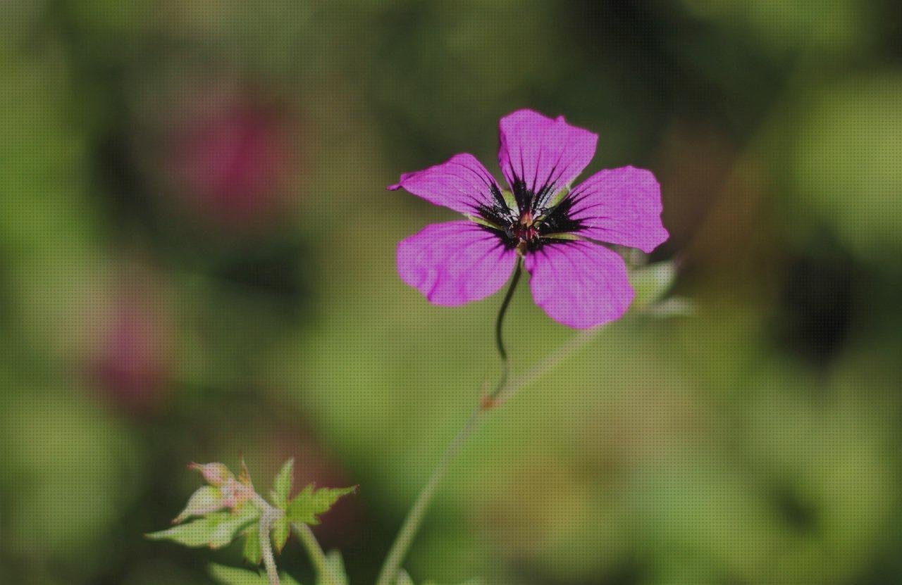 Las mejores caja de plástico 46x60x88 correillas de plástico telhas de plástico ann bolsa de plástico