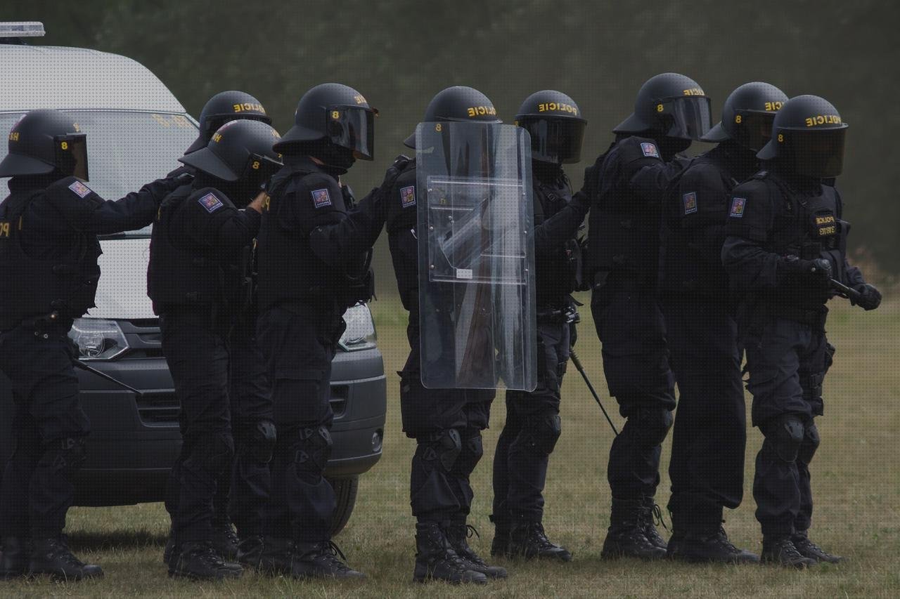 Opiniones de los 17 mejores Antidisturbios De Plásticos