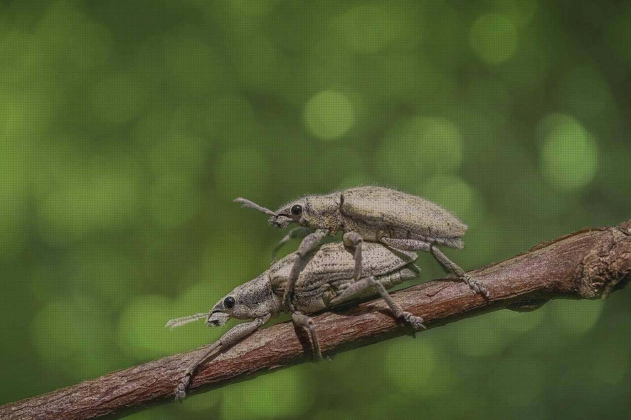 Las mejores marcas de aparadores de plastico tapes de silicona flexibles pack de 12 elastico de silicona aparadores de melamina pasillo