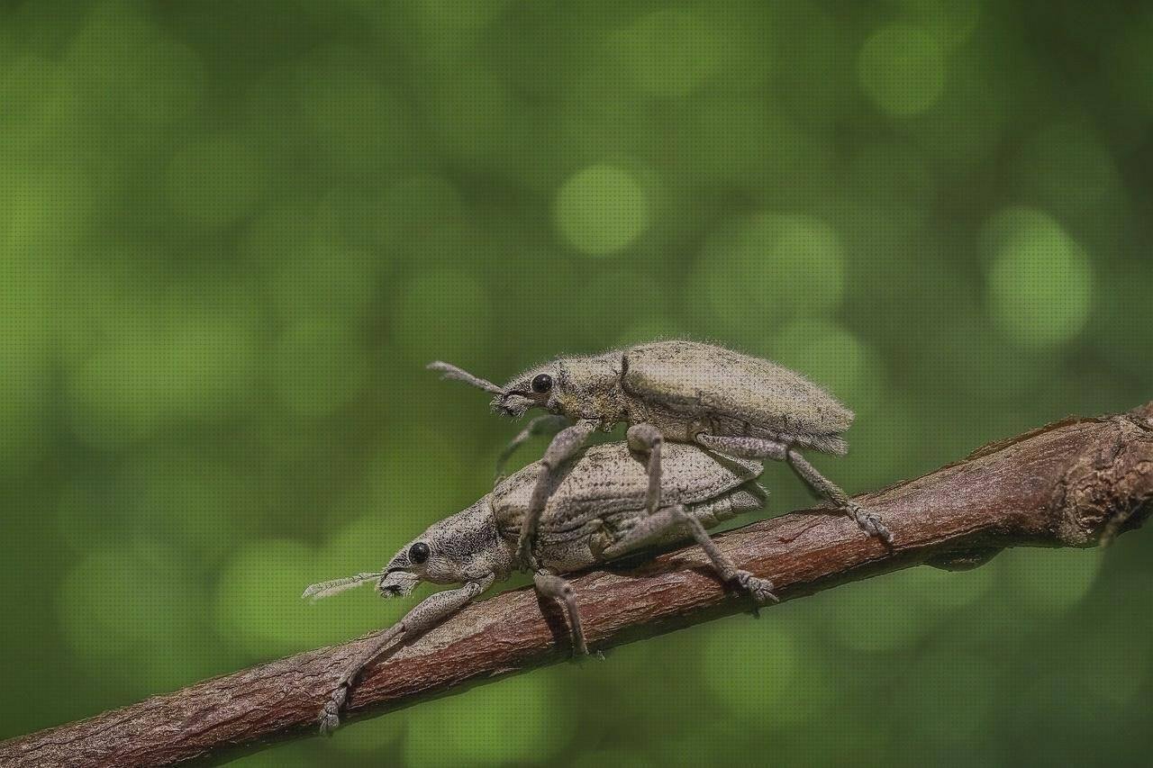 Las mejores marcas de aparadores de plastico tapes de silicona flexibles pack de 12 elastico de silicona aparadores melamina blanca