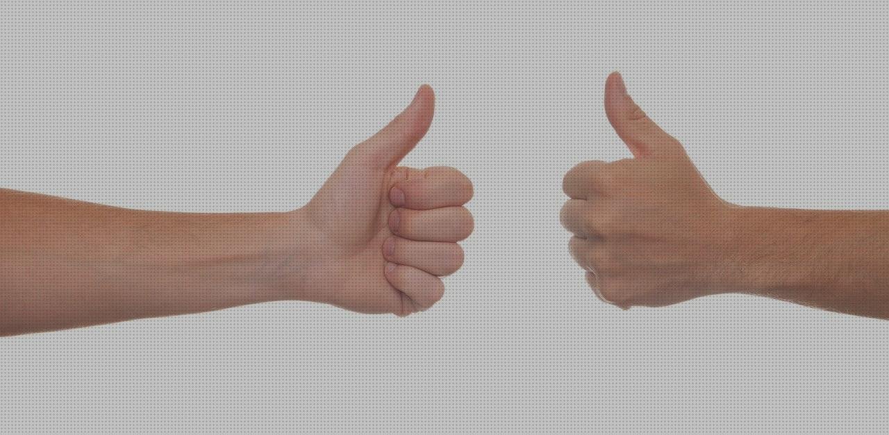 ¿Dónde poder comprar ciervo de metacrilato bovedas metacrilato cubricion caja de metacrilato 15x15 aprobación de metacrilato?