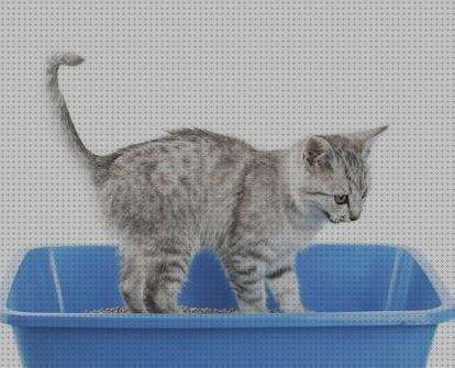 Las mejores marcas de arenero plastico arnes hueco todo de silicona arnes de plástico arenero de gato de plástico