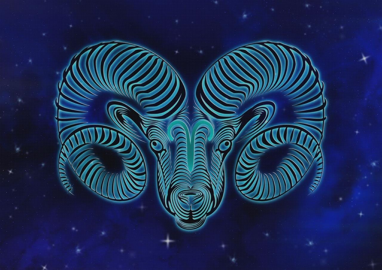 Las mejores cortal metacrilato panera metacrilato perchero metacrilato aries metacrilato