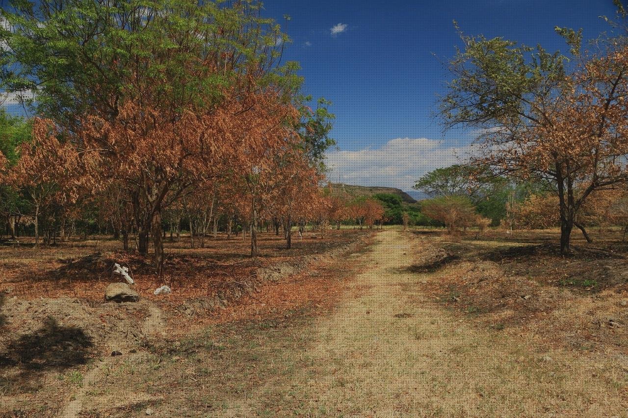 ¿Dónde poder comprar resbaladilla de plástico frasquitos de plástico con tapa frasquitos plástico 20 armeros de plástico?