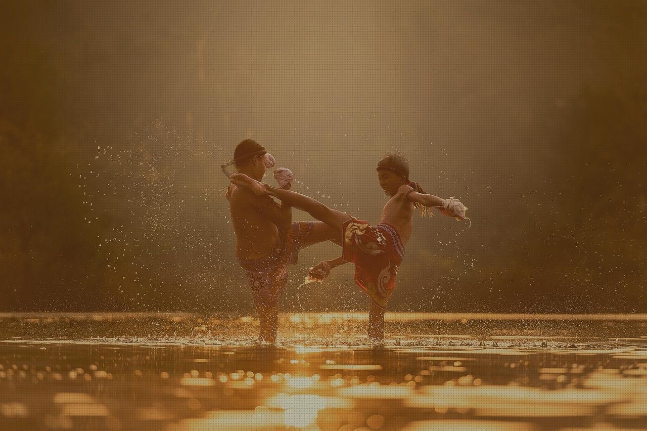Las mejores marcas de bandejas artesa de albañil plástico