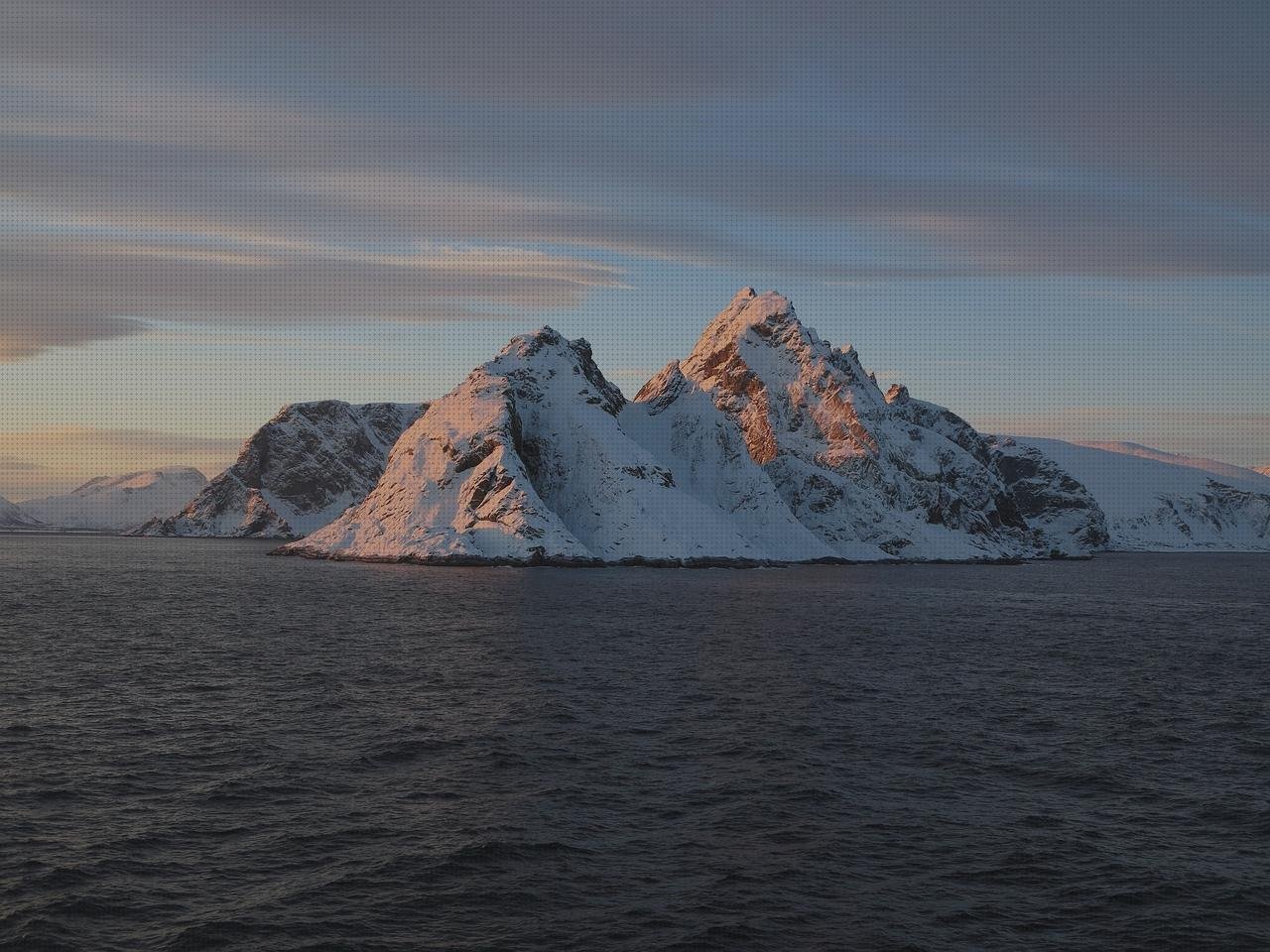 Review de artico isla de plástico