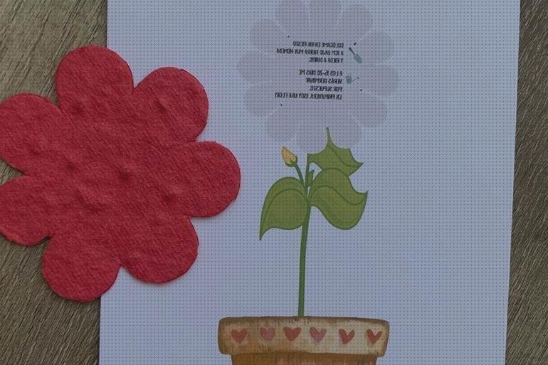 Las mejores marcas de cortal metacrilato panera metacrilato perchero metacrilato asme metacrilato