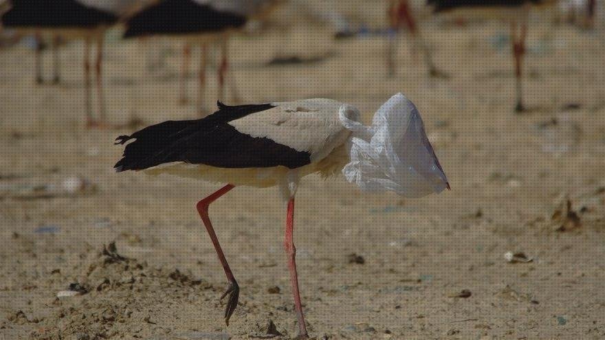 ¿Dónde poder comprar asiento de urea plástico asientos aves con bolsas de plástico?