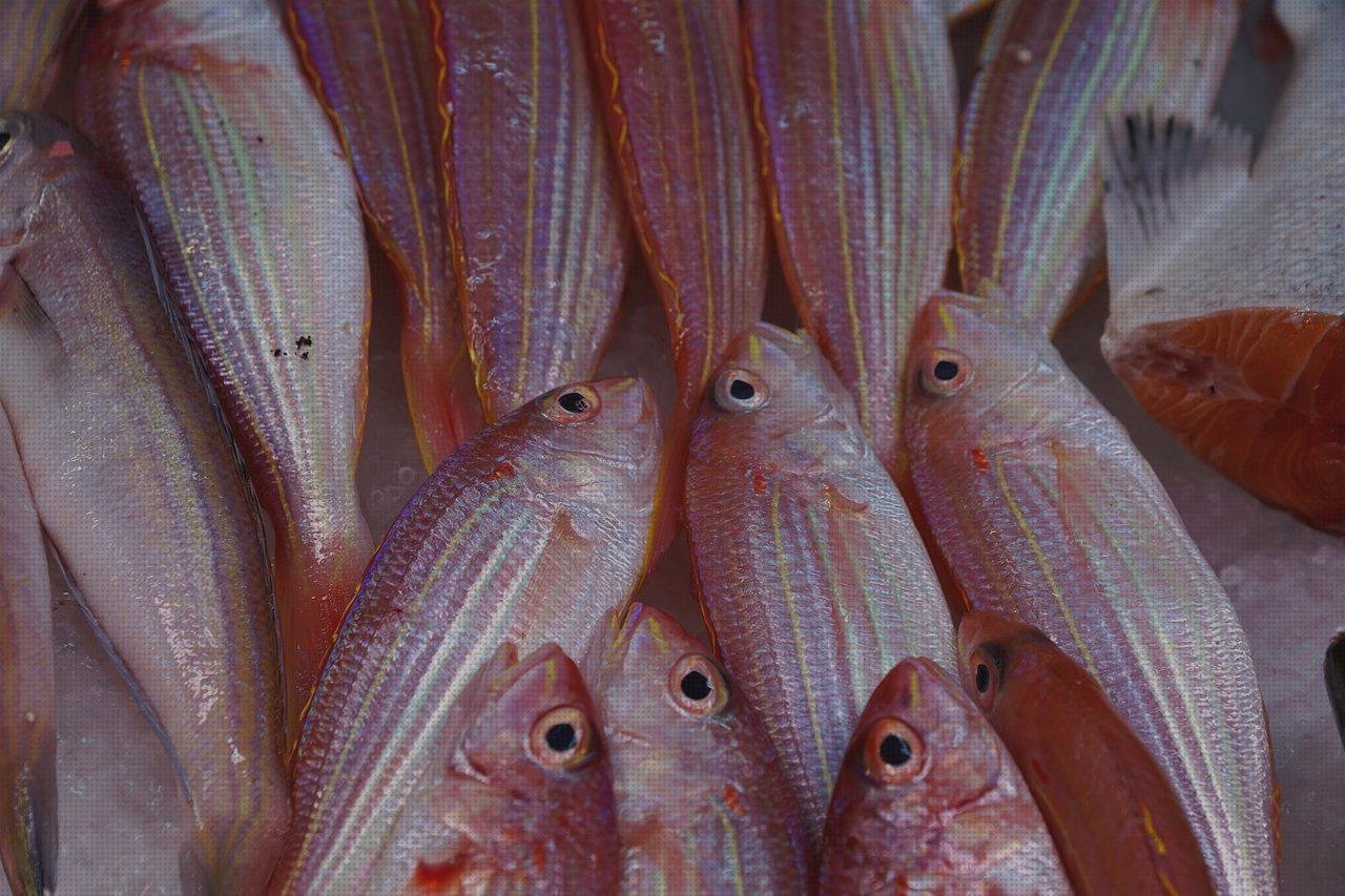 Las mejores marcas de bisera de plástico pa casco tubitos de silicona caliente figuras con tubitos de plástico b12 bolsa de plástico negra bonsai