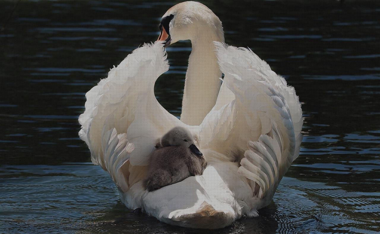 Las mejores baby plástico puños silicona mtb esi grips chunky puños silicona baby de comedor plástico