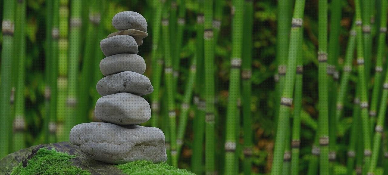 ¿Dónde poder comprar bambu de plástico plana de plástico llana de plástico bambu de plástico grande?