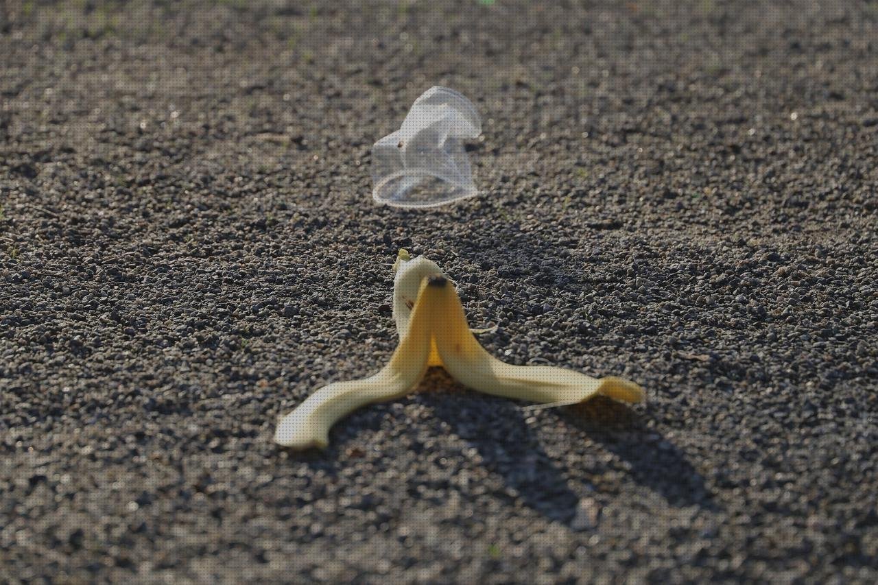 Opiniones de los 13 mejores Bananos De Plásticos