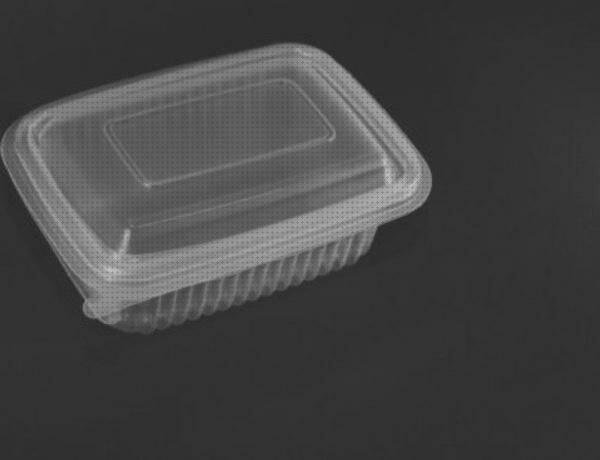Las mejores 12 Bandejas Con Tapas De Plásticos